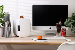 Subcold Pro 4L Mini Fridge